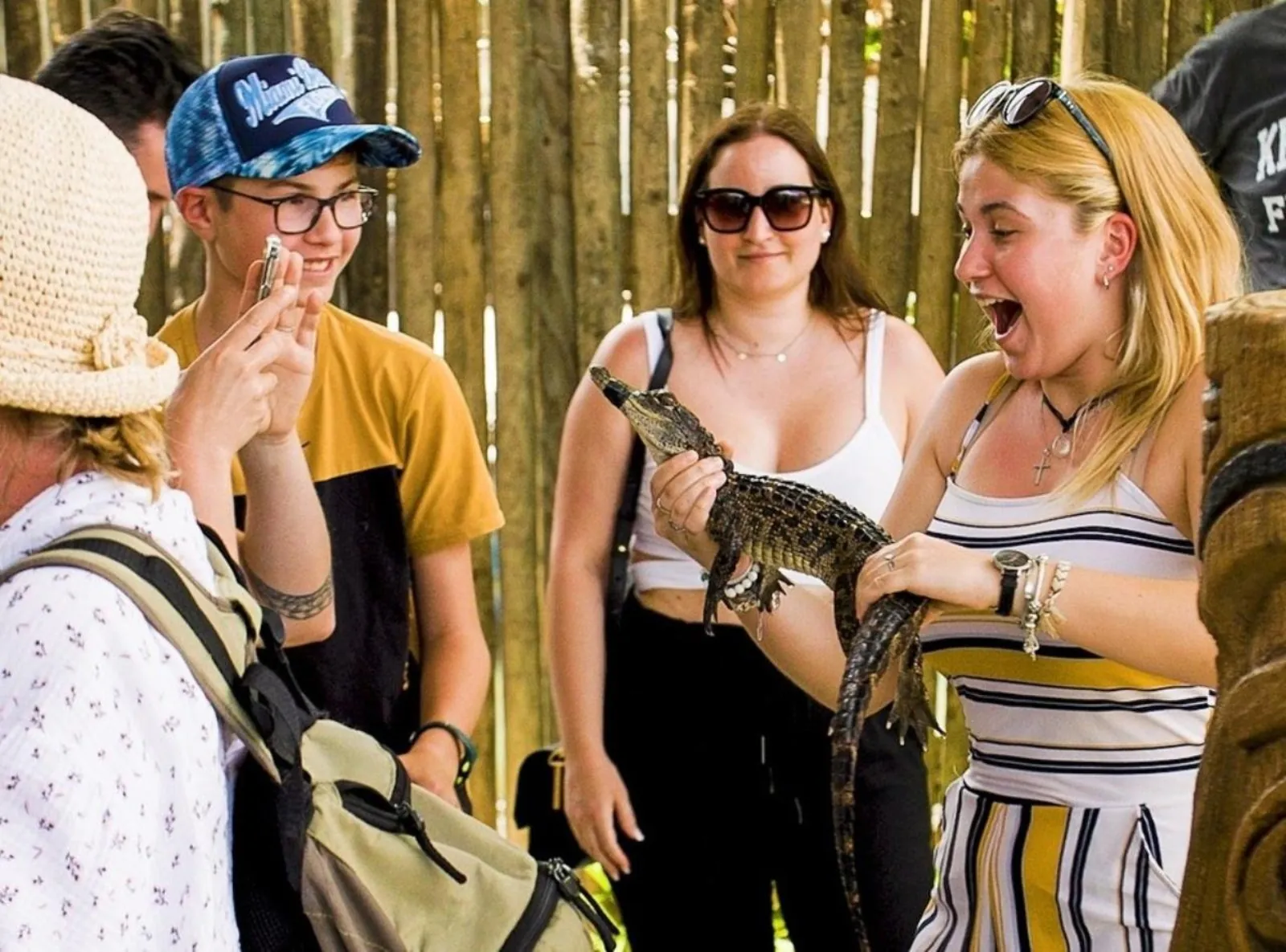 Homestead: Everglades Alligator Farm Entry and Airboat Ride - photo 5