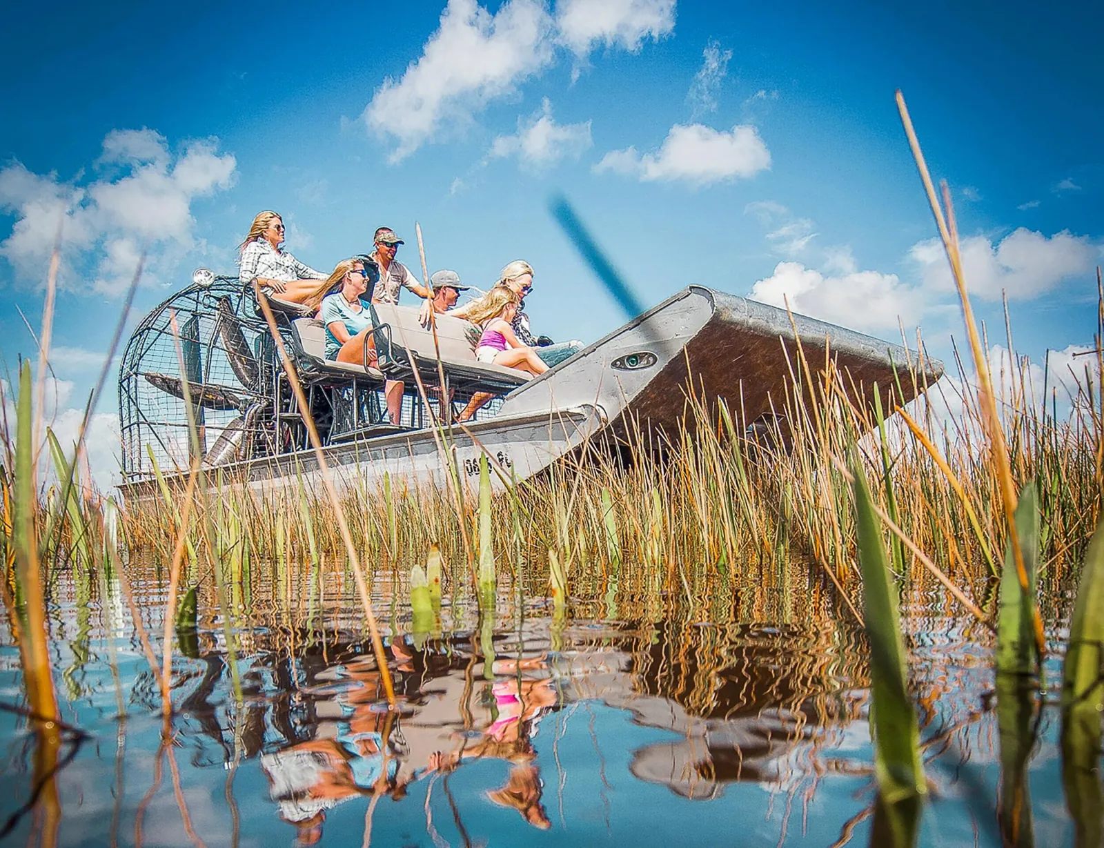 Miami: Everglades National Park Airboat Tour & Wildlife Show - photo 1