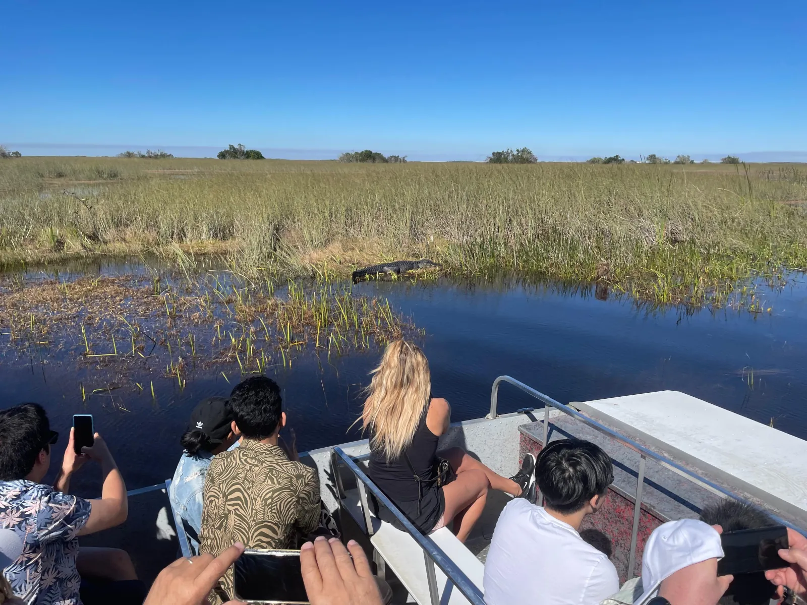Miami: Everglades Airboat Alligator Tour & free pick-up - photo 2