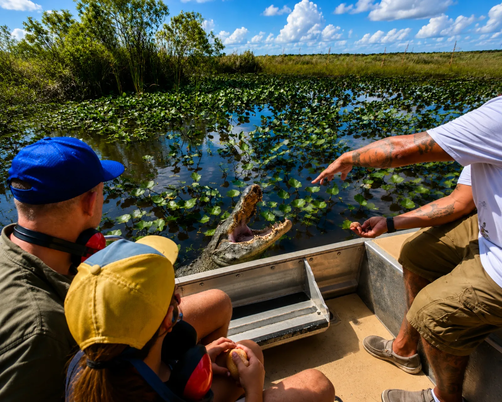 Everglades Eco Tour: Airboat,Wildlife & up 2 Private Islands - photo 1