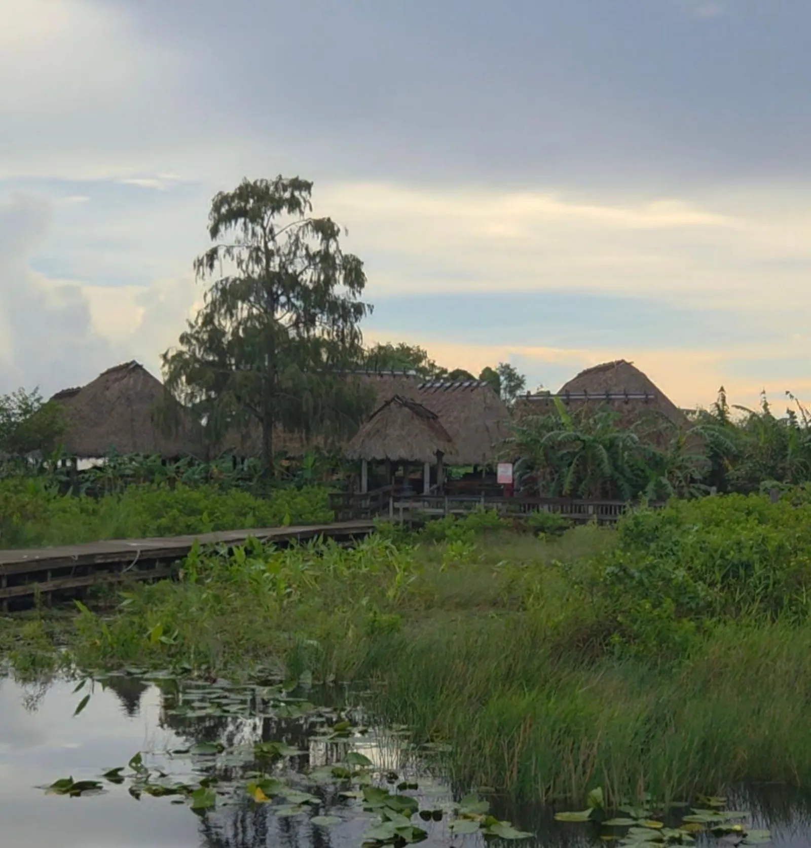 Everglades Eco Tour: Airboat,Wildlife & up 2 Private Islands - photo 2