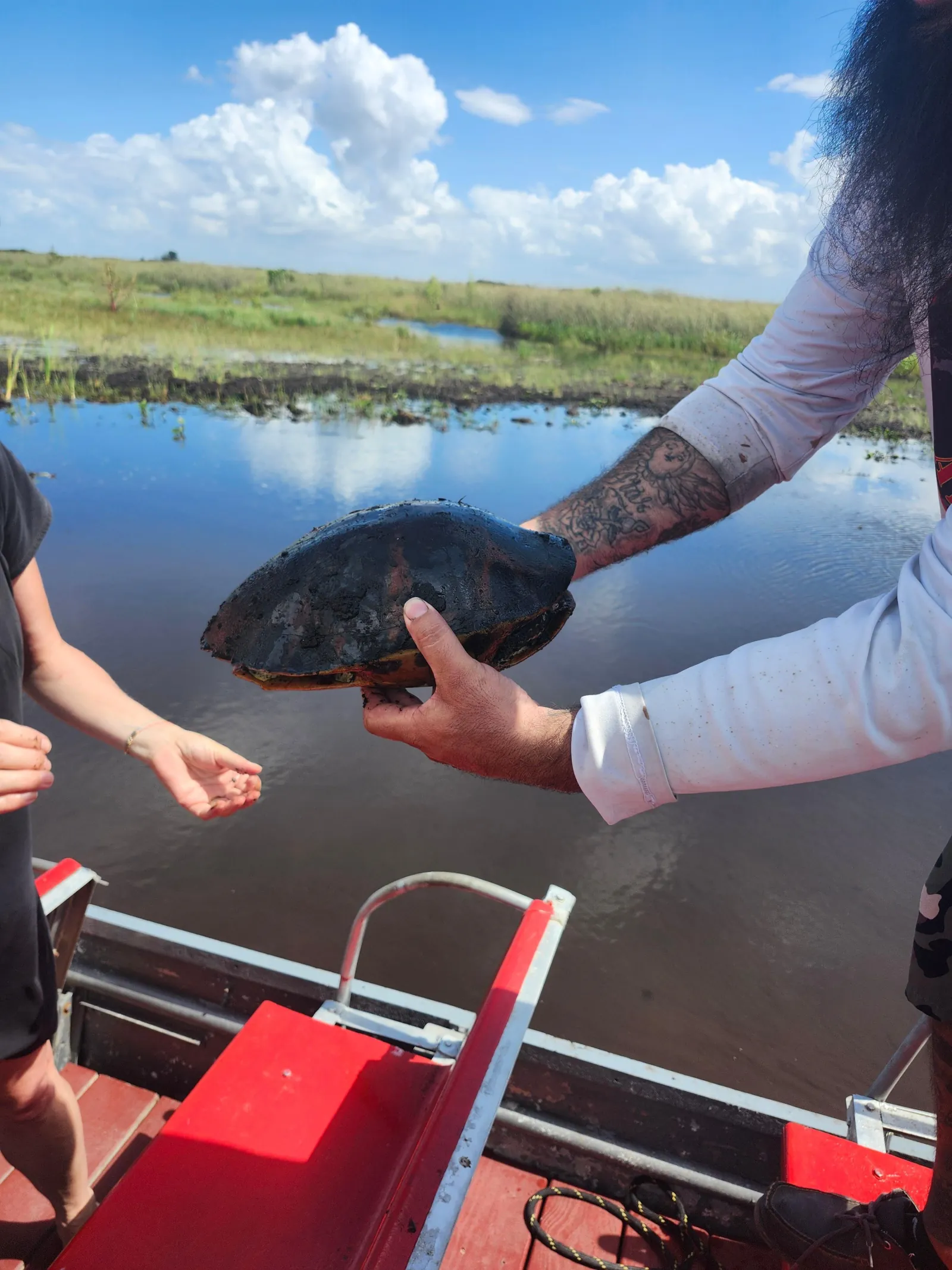 Everglades Eco Tour: Airboat,Wildlife & up 2 Private Islands - photo 5