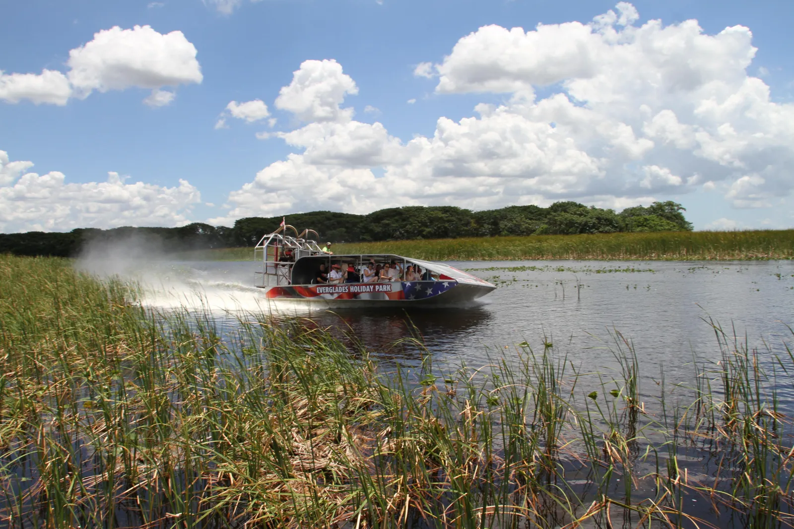 Everglades Small Group on Airboat with Transportation - photo 4