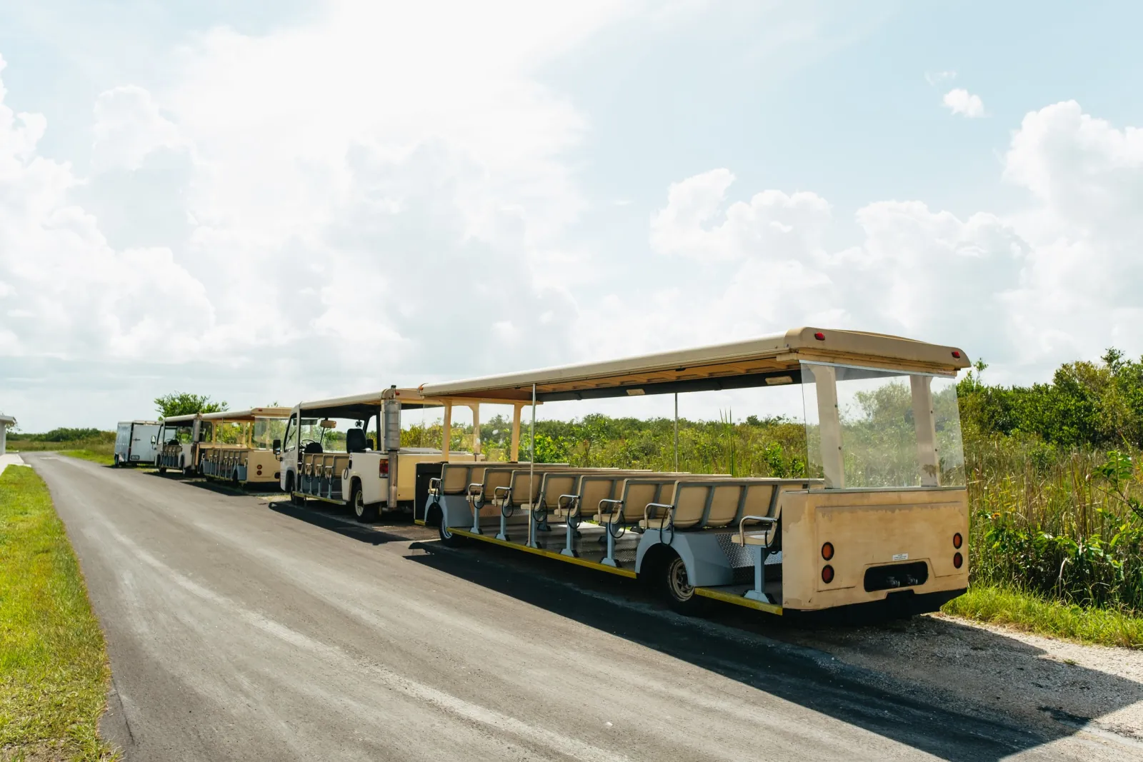 From Miami: Everglades Airboat Ride and Nature Walk - photo 5
