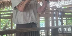 Guest photo from review