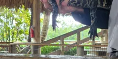 Guest photo from review