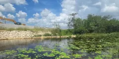 Guest photo from review
