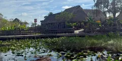Guest photo from review